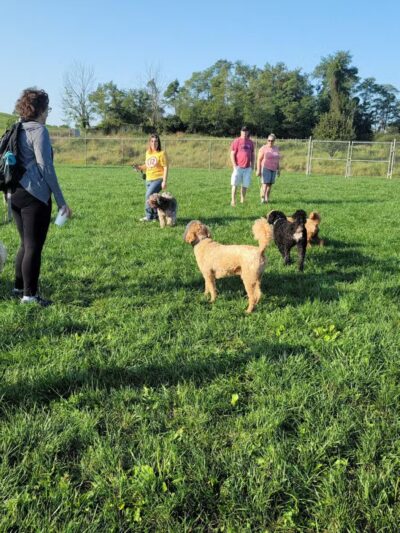 Worthington Park - Ellicott City, MD