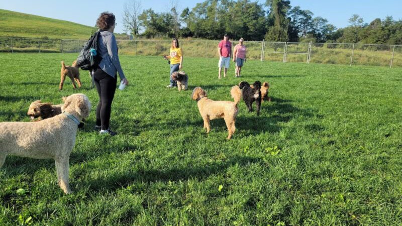 Worthington Park - Ellicott City, MD