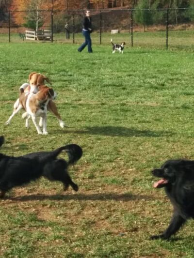 Worthington Park - Ellicott City, MD