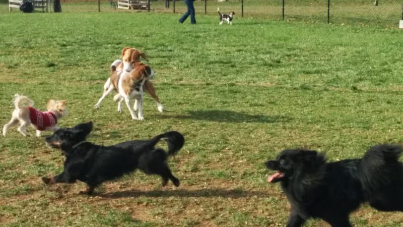 Worthington Park - Ellicott City, MD