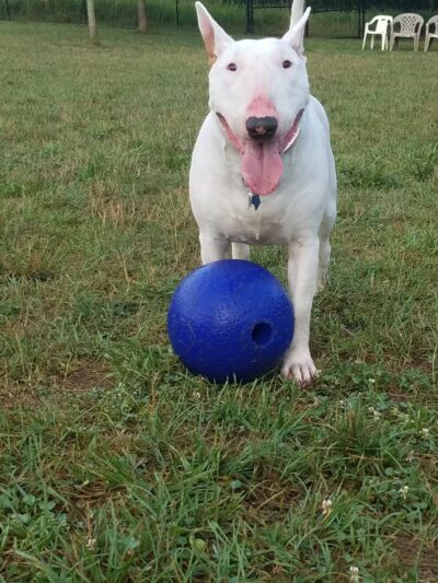 Worthington Park - Ellicott City, MD