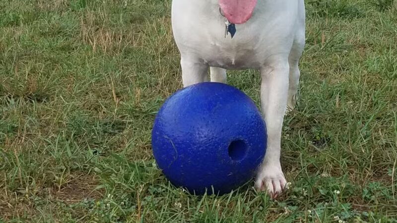 Worthington Park - Ellicott City, MD