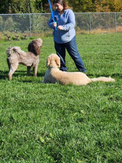 Worthington Park - Ellicott City, MD