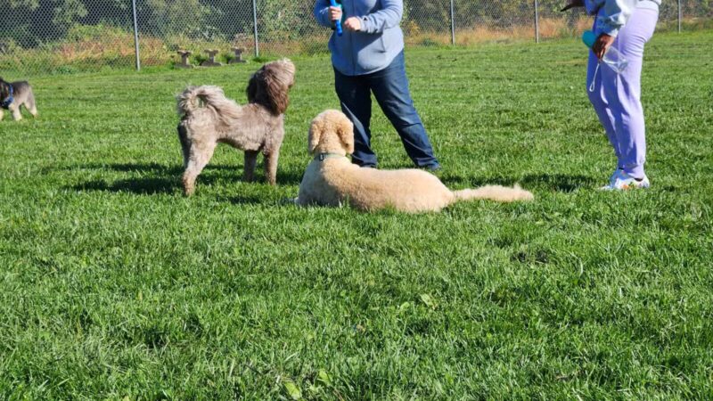 Worthington Park - Ellicott City, MD