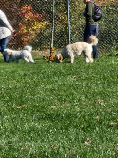 Worthington Park - Ellicott City, MD