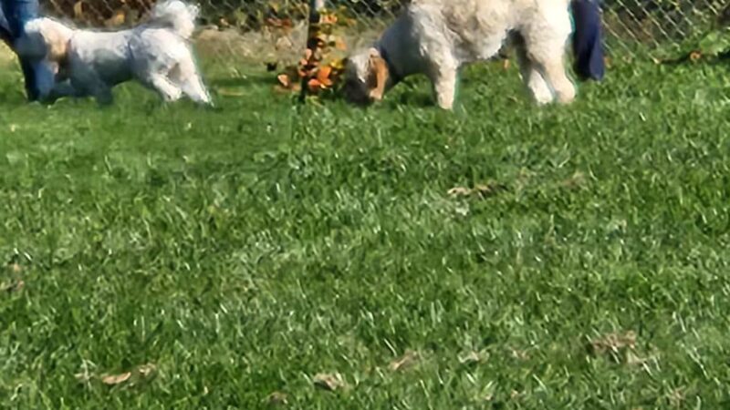 Worthington Park - Ellicott City, MD