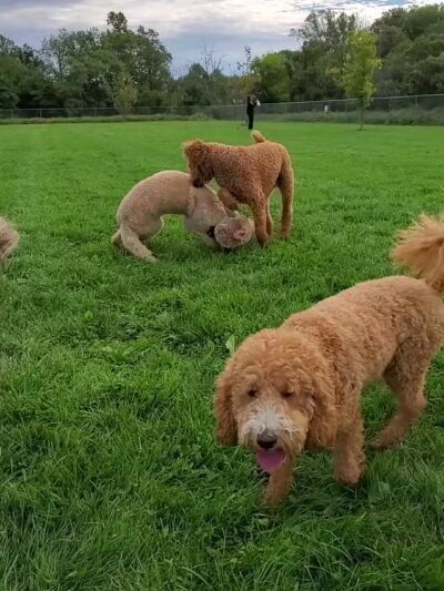 Worthington Park - Ellicott City, MD