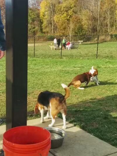 Worthington Park - Ellicott City, MD