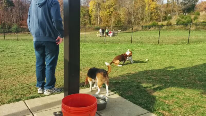 Worthington Park - Ellicott City, MD