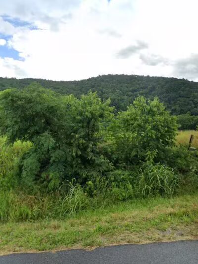 Dog Park at Love's Travel Stops - Elliston, VA