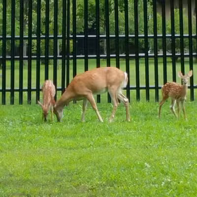 Artesian Fields County Park - Elmwood Park, NJ