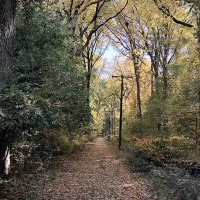 Artesian Fields County Park - Elmwood Park, NJ