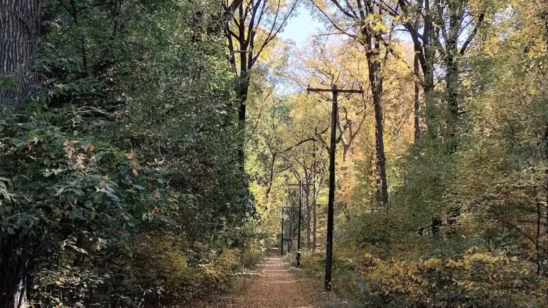 Artesian Fields County Park - Elmwood Park, NJ