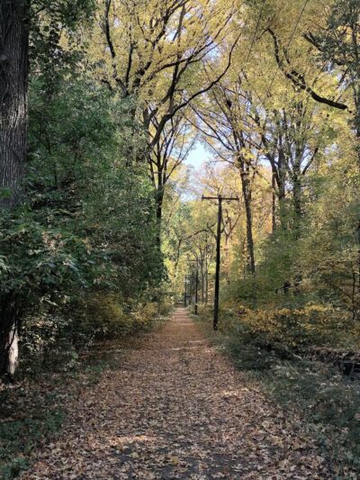 Artesian Fields County Park - Elmwood Park, NJ