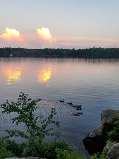 Birch Lake Campground - Ely, MN