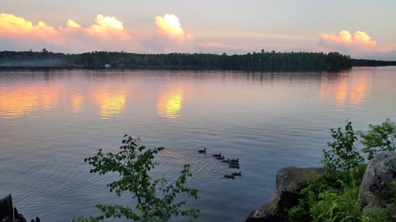 Birch Lake Campground - Ely, MN