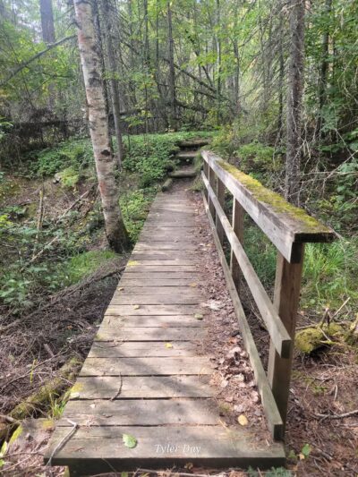 Dry Lake Loop Trailhead - Ely, MN