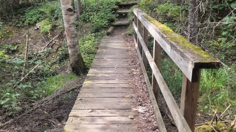 Dry Lake Loop Trailhead - Ely, MN