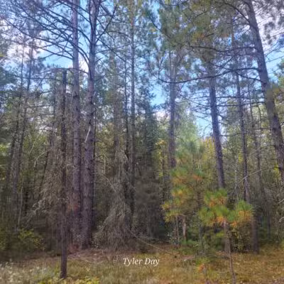 Dry Lake Loop Trailhead - Ely, MN