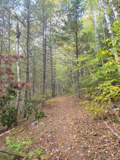 Dry Lake Loop Trailhead - Ely, MN