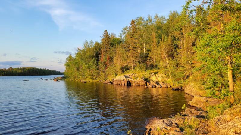 Fall Lake Campground - Ely, MN