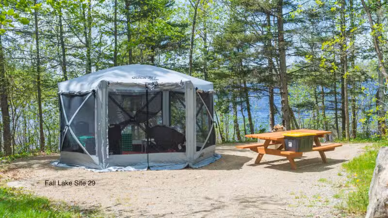 Fall Lake Campground - Ely, MN