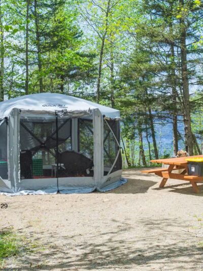 Fall Lake Campground - Ely, MN