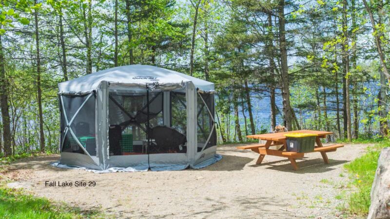 Fall Lake Campground - Ely, MN
