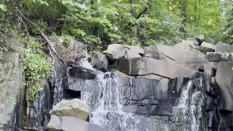 Englewood Picnic Area - Englewood Cliffs, NJ