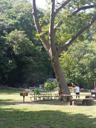 Englewood Picnic Area - Englewood Cliffs, NJ