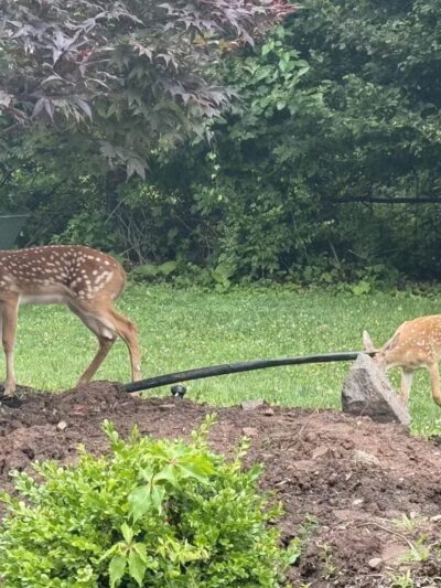 Veterans and Fallen Heroes Park - Englewood Cliffs, NJ