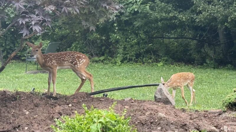 Veterans and Fallen Heroes Park - Englewood Cliffs, NJ