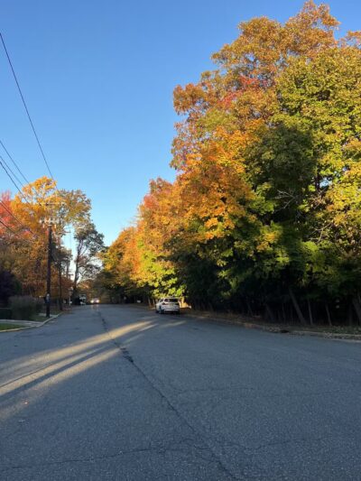 Witte Field - Englewood Cliffs, NJ