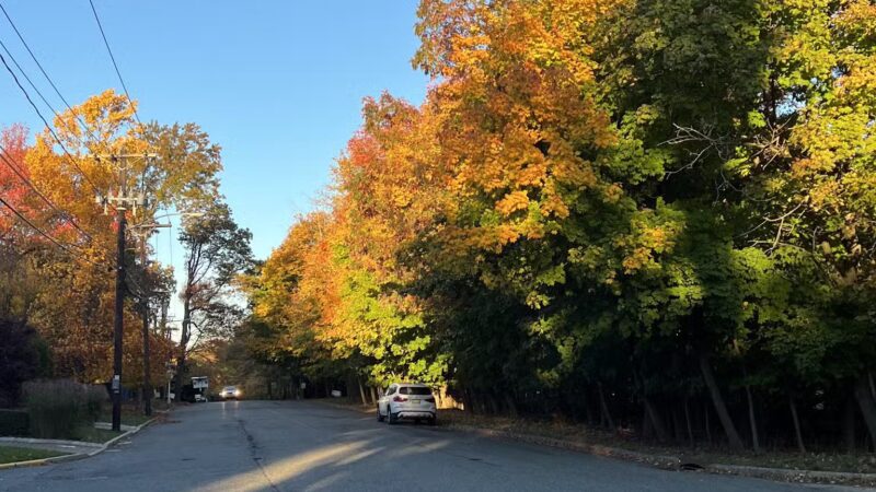 Witte Field - Englewood Cliffs, NJ