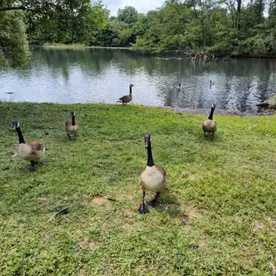 Crystal Lake Park - Englewood, NJ