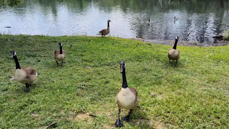 Crystal Lake Park - Englewood, NJ