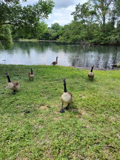 Crystal Lake Park - Englewood, NJ