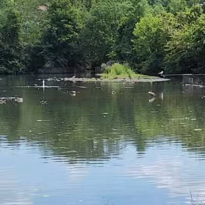 Crystal Lake Park - Englewood, NJ
