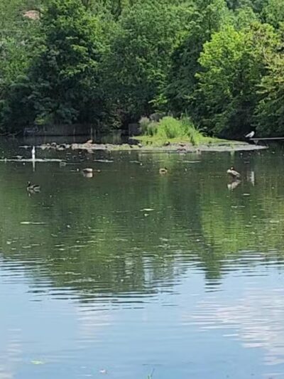 Crystal Lake Park - Englewood, NJ