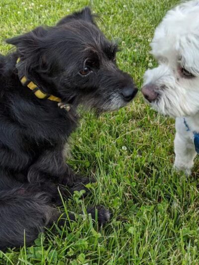 Denning Park - Englewood, NJ