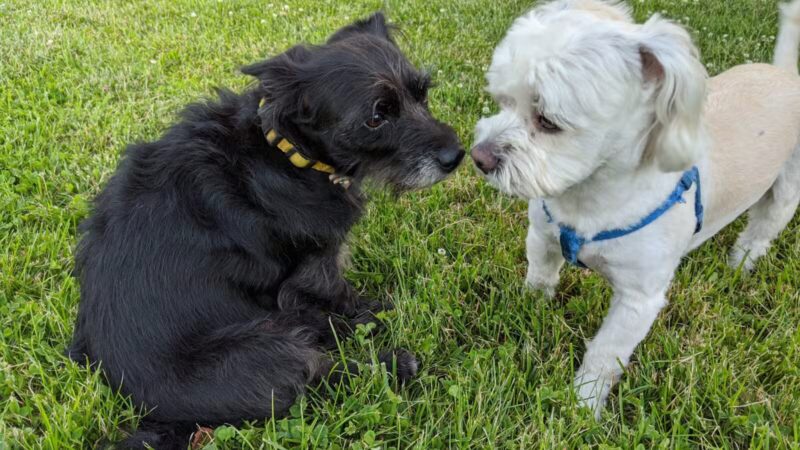 Denning Park - Englewood, NJ