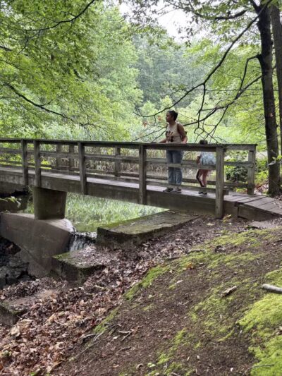 Flat Rock Brook Nature Center - Englewood, NJ