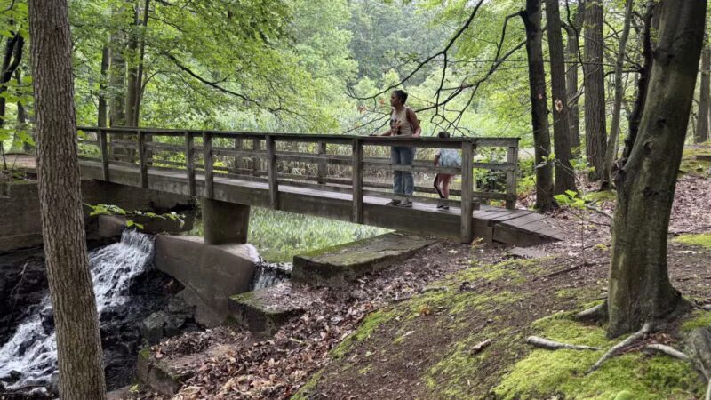 Flat Rock Brook Nature Center - Englewood, NJ