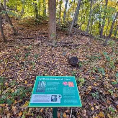 Flat Rock Brook Nature Center - Englewood, NJ