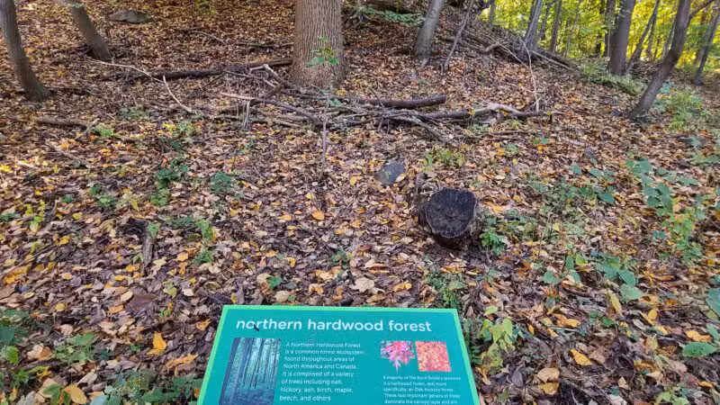 Flat Rock Brook Nature Center - Englewood, NJ