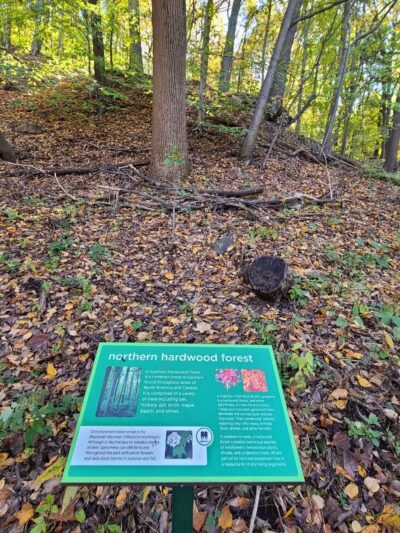 Flat Rock Brook Nature Center - Englewood, NJ