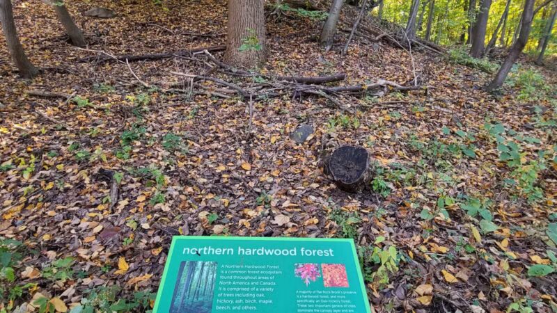 Flat Rock Brook Nature Center - Englewood, NJ