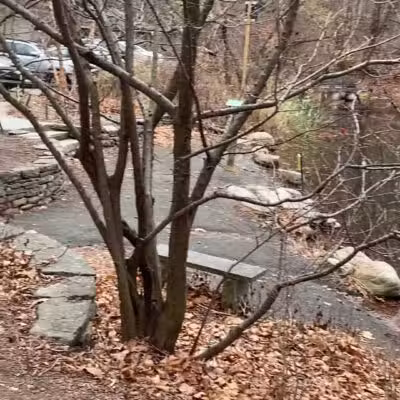 Flat Rock Brook Nature Center - Englewood, NJ