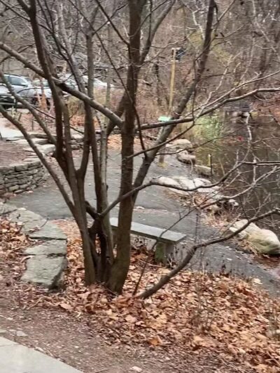 Flat Rock Brook Nature Center - Englewood, NJ