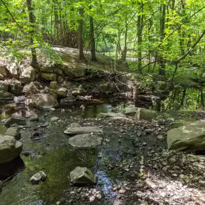 Flat Rock Brook Nature Center - Englewood, NJ